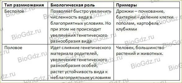 Бесполое размножение характеристика и биологическое значение. Таблица типы размножения биология 9 класс. биологическое значение бесполого размножения в таблицах. типы бесполого размножения 9 класс биология таблица. заполните таблицу бесполое размножение.