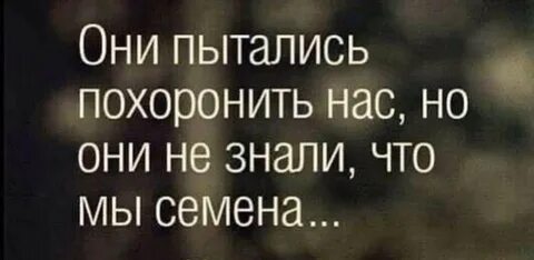 Они хотели похоронить нас
