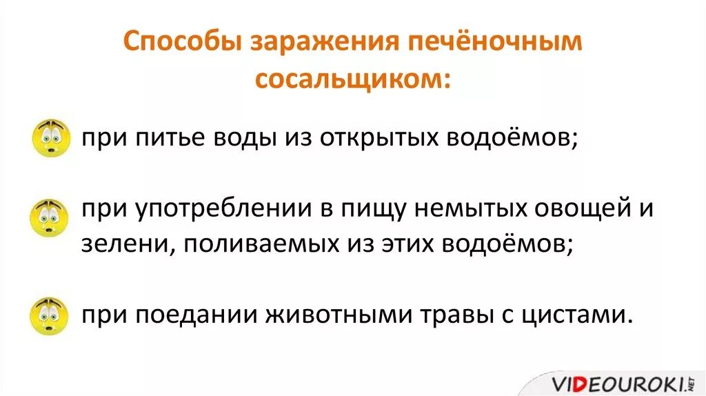 Печеночный сосальщик способ заражения. Пути заражения человека печеночным сосальщиком. Печеночный сосальщик пути заражения. Способы заражения человека печеночным сосальщиком.