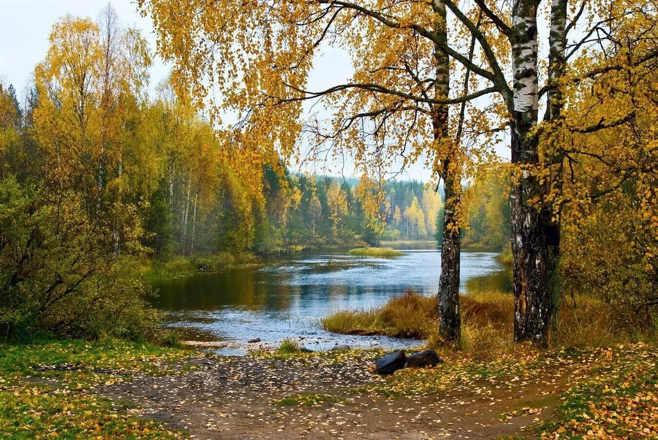 Славная осень здоровый ядреный воздух. Как ни густы бывают студеные осенние. Заставка на рабочий стол осень. Природа осень. Осень.