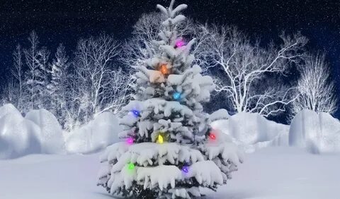 Зима новые видео