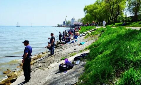 Рыбалка в таганроге