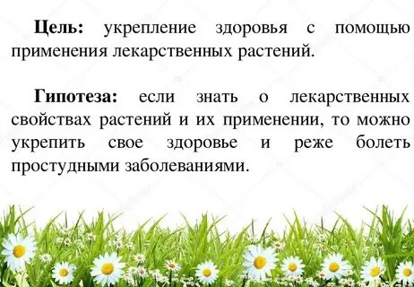 Лекарственные растения в жизни человека