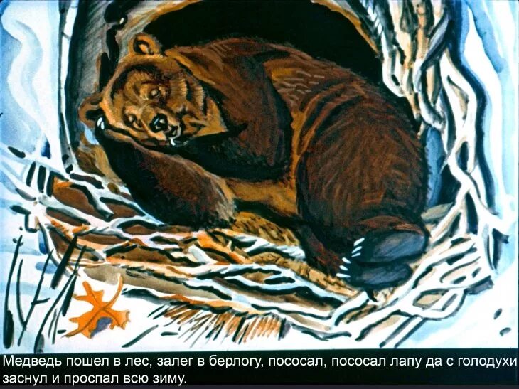 Блоггер в берлоге медведя. Медведь половинщик. берлога медведя. медведь в берлоге для детей. медведь в берлоге иллюстрация.