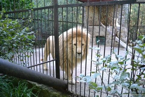 Сказка ул кирова 156 ялта