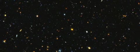 Universum отзывы