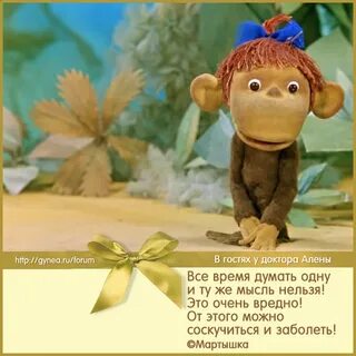 38 мартышек