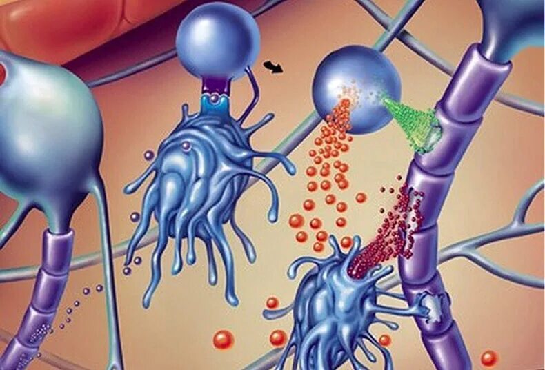 Иммунологические нарушения. Рассеянный склероз. Болезни нервной ткани. Аутоиммунные заболевания клетки. Патология картинки