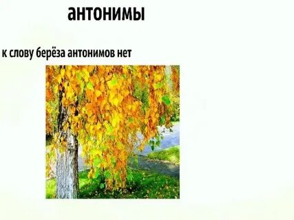 Переносное значение слова береза