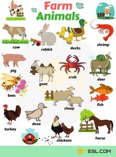 Farm names