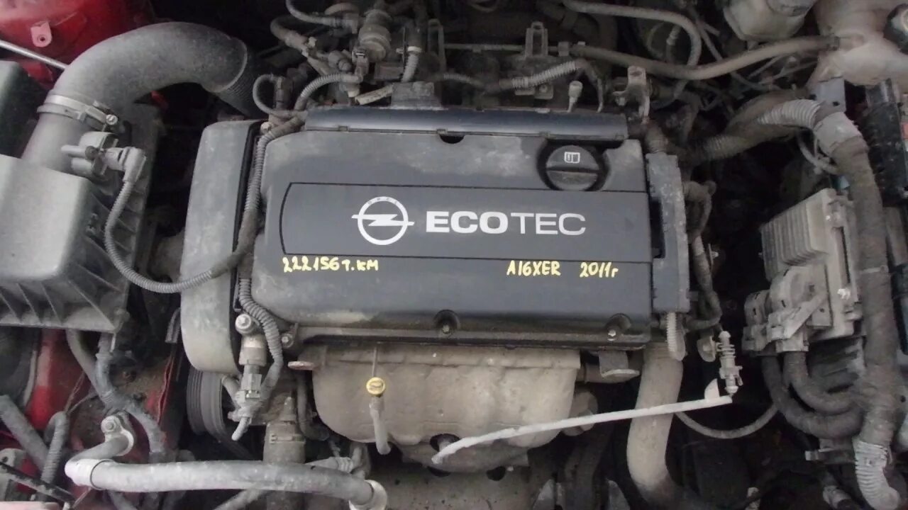Двигатели б у опель. 16xer Opel двигатель. Двигатель Опель 16 XER.