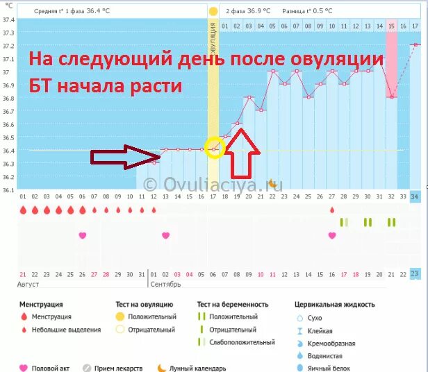 Овуляция третий день. Дни овуляции. Планирование по овуляции. Планирование беременности по овуляции. Планировать девочку по овуляции.