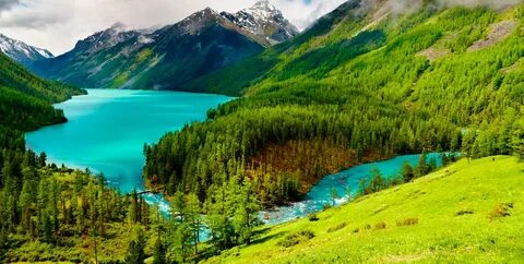 Great nature