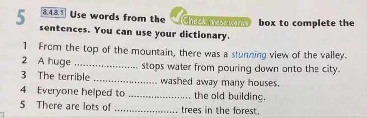 Use the Words from the Box to complete. Use Words from the Box to complete the sentences use your Dictionary. Use the Words from the Box to complete the sentences. Слова check these Words.