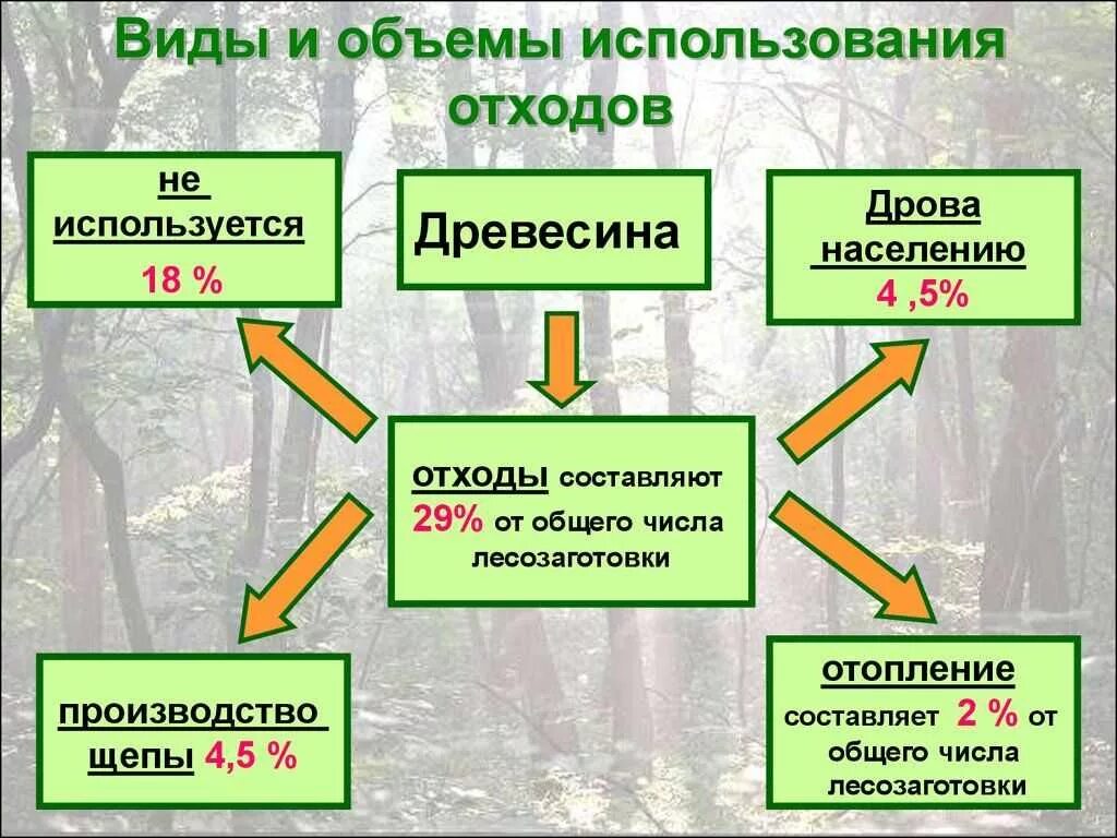 Формы использования лесов