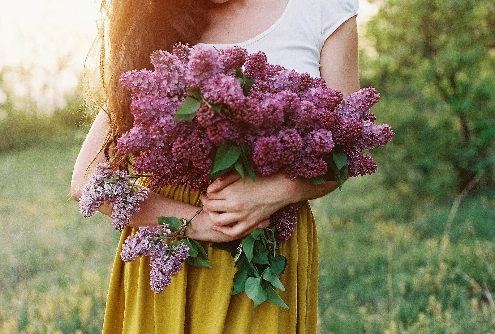 My flowers are beautiful. Девушка с сиренью. Букет сирени. Фотосессия в сирени. Девушка с букетом сирени.