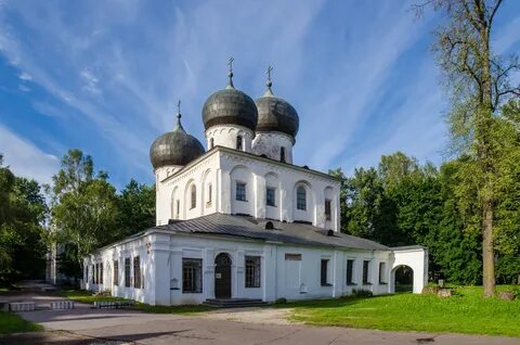 Год рождения новгород