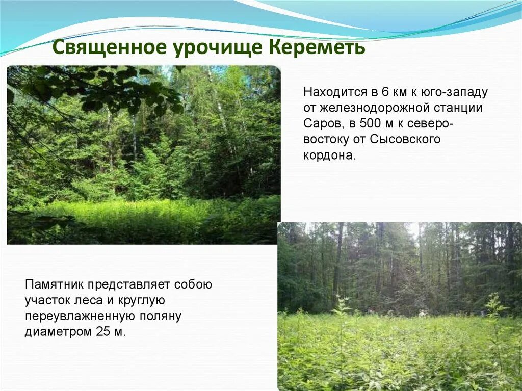 Эрзянское священное урочище кереметь саров. Урочище скаженной бабы. Священные урочища. Священные урочища. Священные урочища.