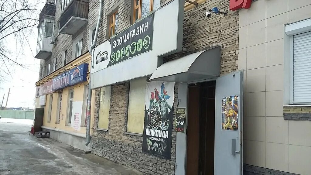 Анаконда зоомагазин в нижнем. Магазин зоодруг нижний новгород. Питомец сеть зоомагазинов нижний новгород. Анаконда магазин. Питомец сеть зоомагазинов нижний новгород.