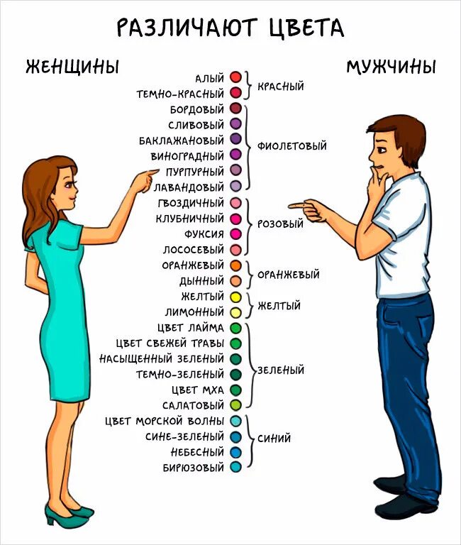Разные названия людей. Цвета мужчины и женщины. Kak mujchini i jenshini razlichayut Cveta. Мужчина и женщина различают цвета. Восприятие цветов мужчинами и женщинами.