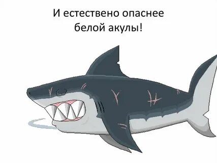 Акулы чтения