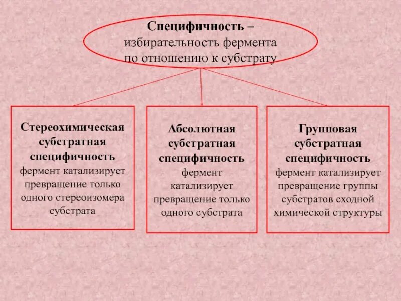 Относительная специфичность. Виды субстратной специфичности ферментов. Специфичность ферментов типы и примеры. Специфичность ферментов виды специфичности. Виды специфичности ферментов примеры.