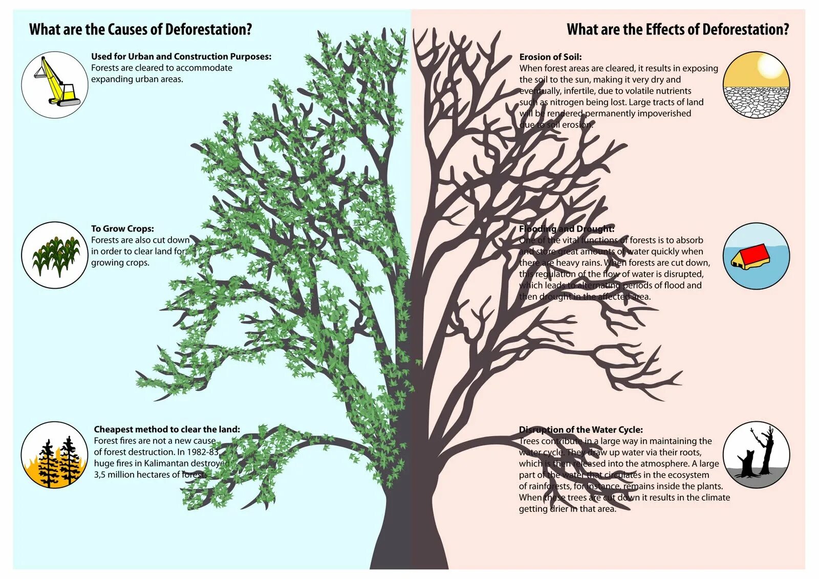 Cut them down. Effects of deforestation. Causes of deforestation. The Forest деревья. Effects of deforestation on Humans.