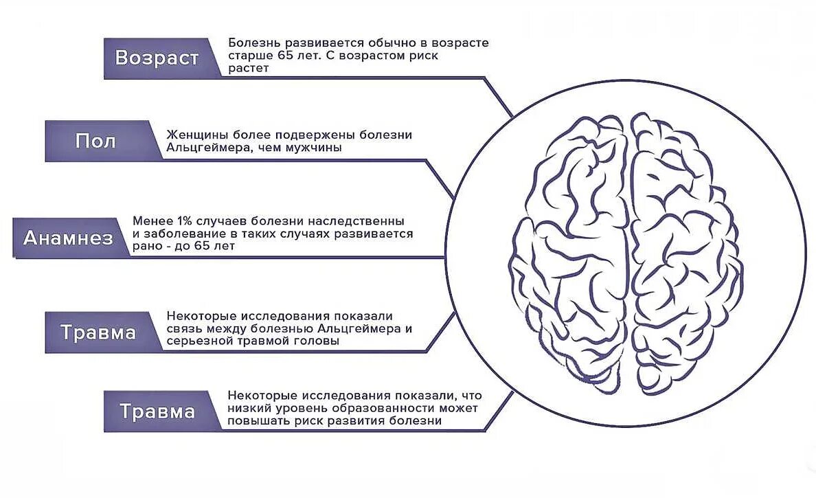 Альцгеймера симптомы у молодых. Факторы развития болезни альцгеймера. факторы риска развития болезни альцгеймера. динамика развития болезни альцгеймера. синдром альцгеймера факторы риска.