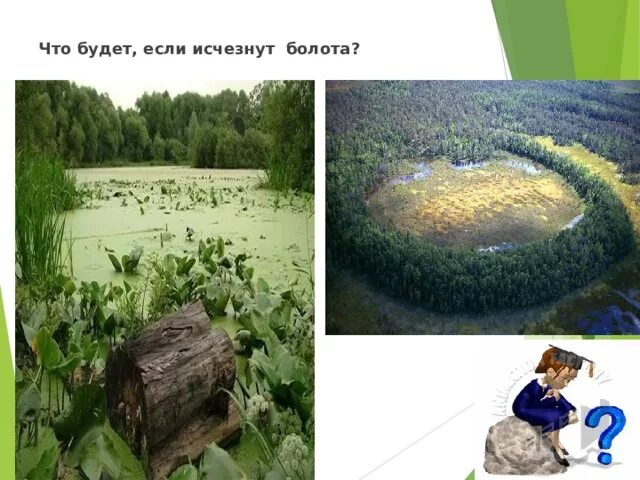 Что может быть в болоте. Что может быть в болоте