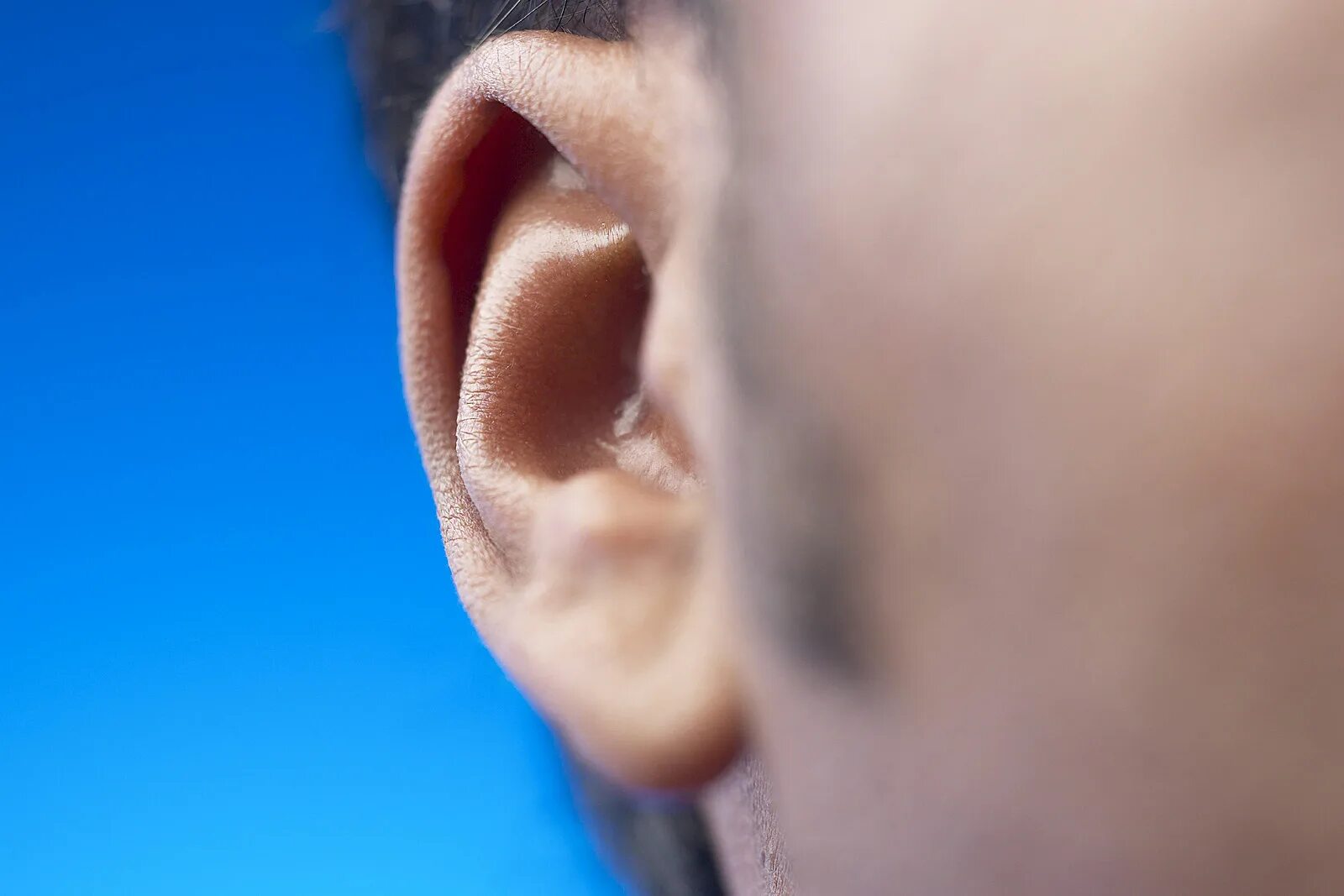 Ухо с разных ракурсов. Ухо ракурсы. Отопластика (пластика ушных раковин. Ухо ракурсы. Ухо с разных ракурсов.