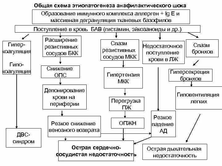 Анафилактический ШОК механизм развития схема. Анафилактическая реакция патогенез. Анафилаксия этиология патогенез. Патогенез анафилактического шока схема. Анафилактический шок патогенез