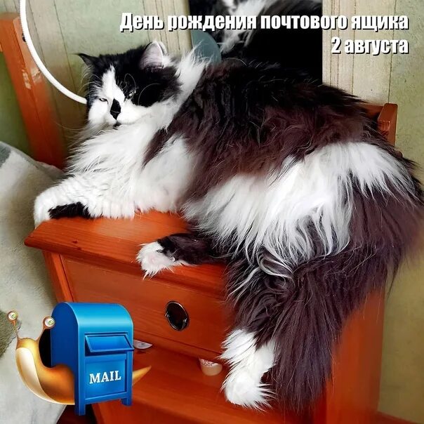 День почтового ящика 2 августа. Открытки день почтового ящика. День почтового ящика 2 августа. Всемирный день почтового ящика. День рождения почтового ящика.