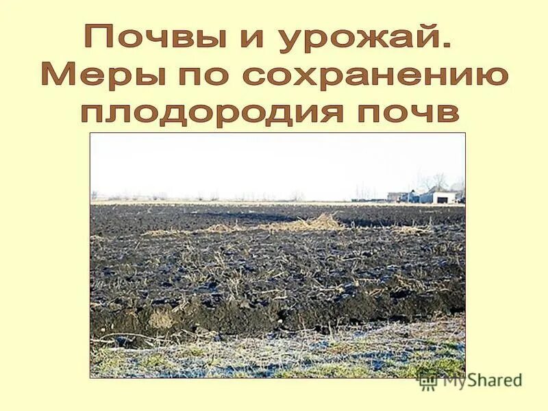 Комплекс мер по сохранению почвенного плодородия называют. Комплекс мер по сохранению почвенного плодородия называют. Комплекс мер по сохранению почвенного плодородия называют. Виды мелиорации почв. Мелиорация виды география.