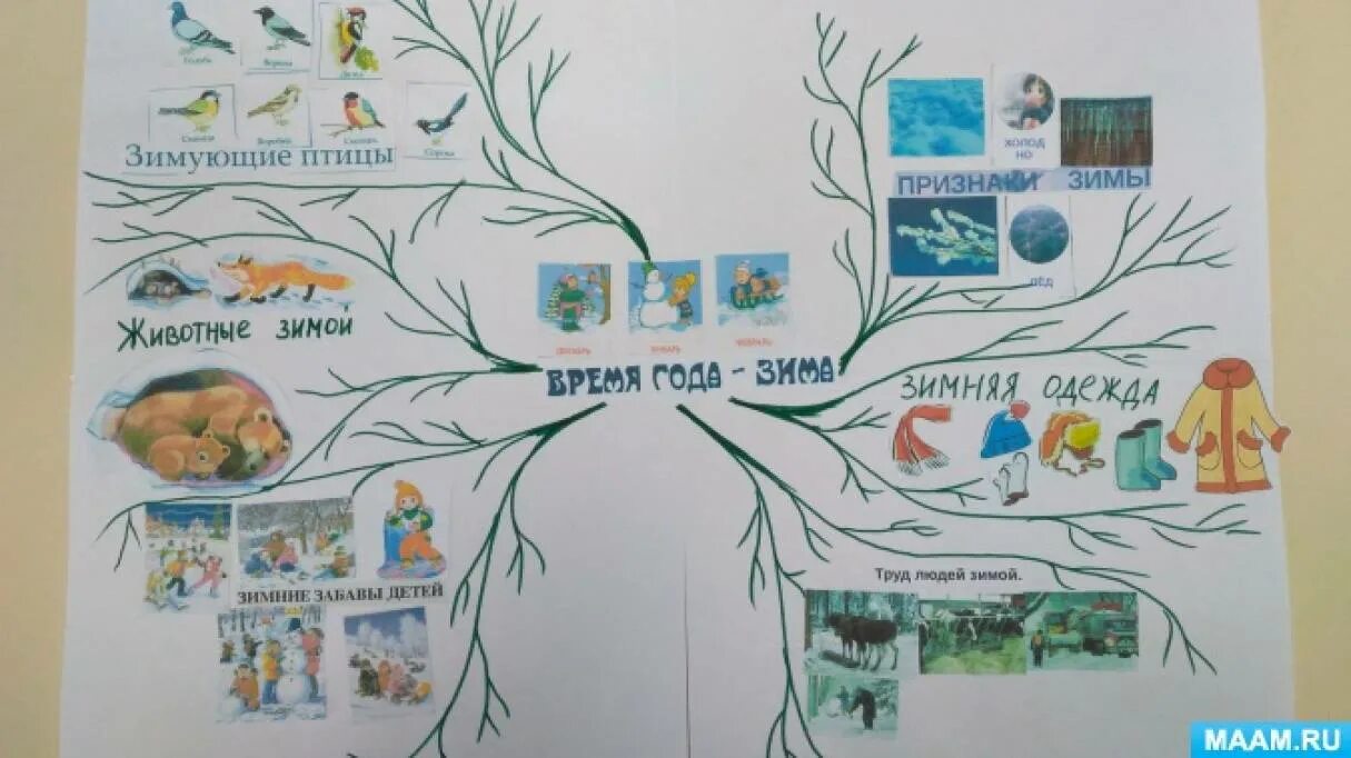 Интеллект карта птицы. Интеллект-карты тони бьюзена в доу. интеллектуальная карта зима для дошкольников. интеллект карта в доу. интеллектуальная карта про ребенка дошкольного возраста.