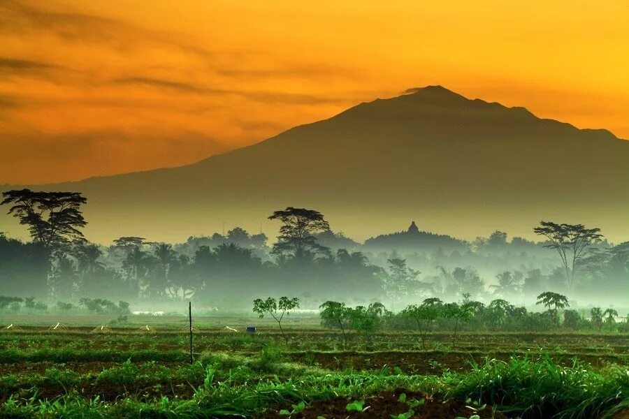Java island