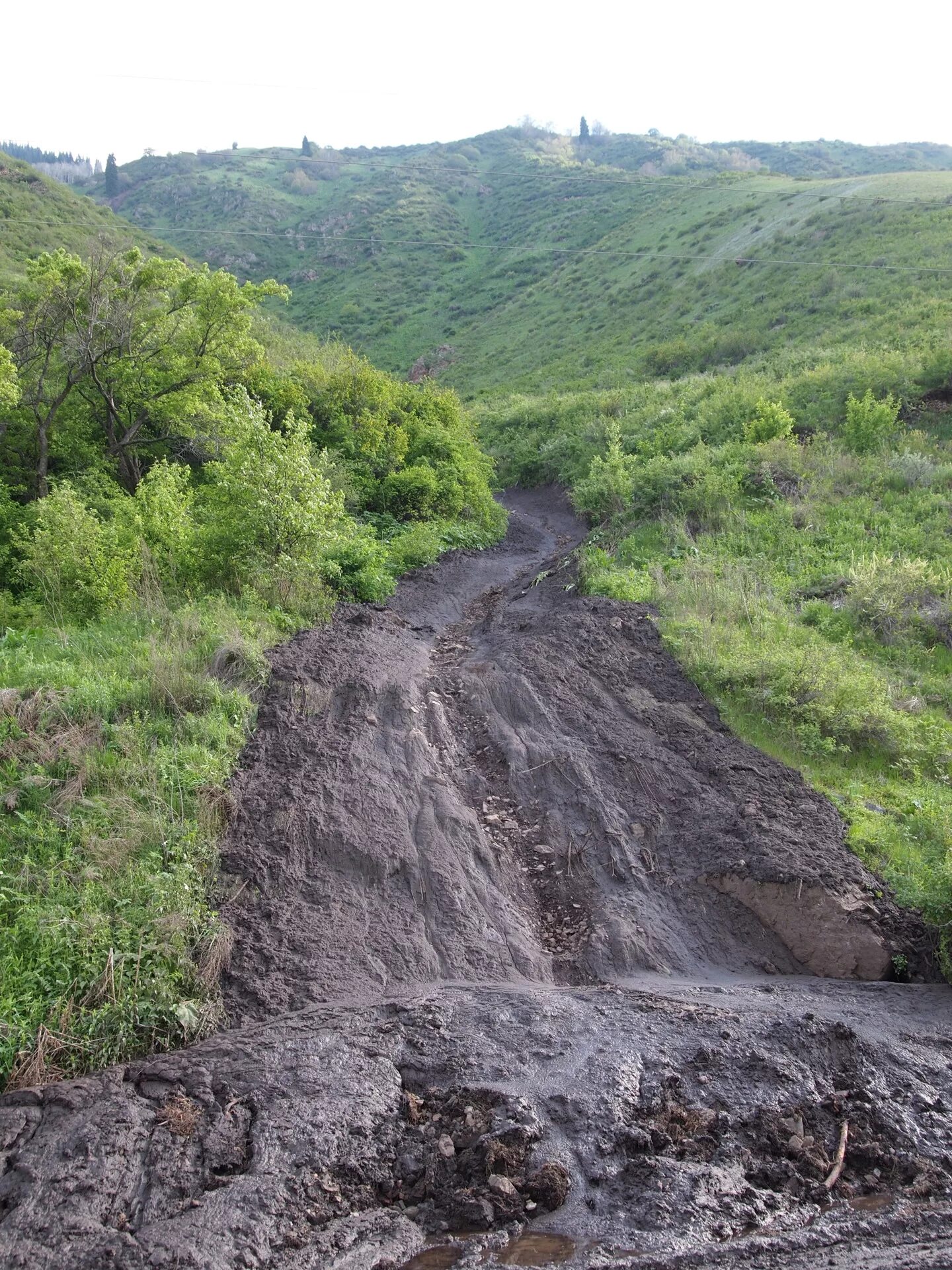 Сель. Сель в горах фото. Франзцский сель.