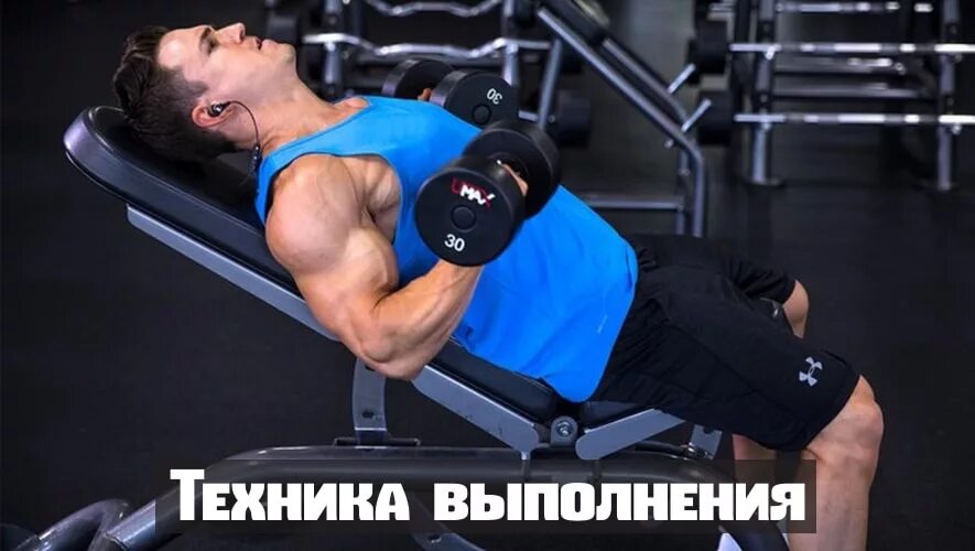 Подъем гантелей на бицепс на наклонной скамье. Сгибание рук на верхнем блоке. Бицепс лежа. Incline dumbbell curl. Бицепс на наклонной скамье с гантелями.