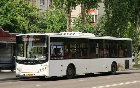 Автобус 427