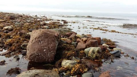 Краски белого моря