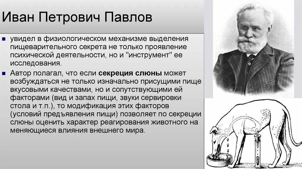 Теория Ивана Петровича Павлова. Детство Павлова Ивана Петровича. Павлов направление