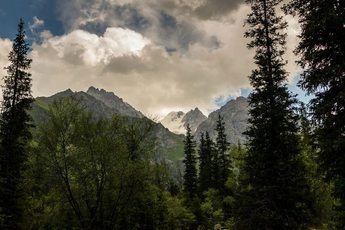 Ала арча бишкек. Заповедник ала Арча Бишкек. Ущелье ала Арча. Ала Арчинское ущелье Кыргызстан. Природный парк ала Арча Кыргызстан.