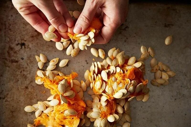 Сушеные тыквенные семечки. Высушенное семя. Лаванда из семян. Семечки тыквенные. Сушка для семечки.