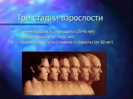 Этапы периода взрослости