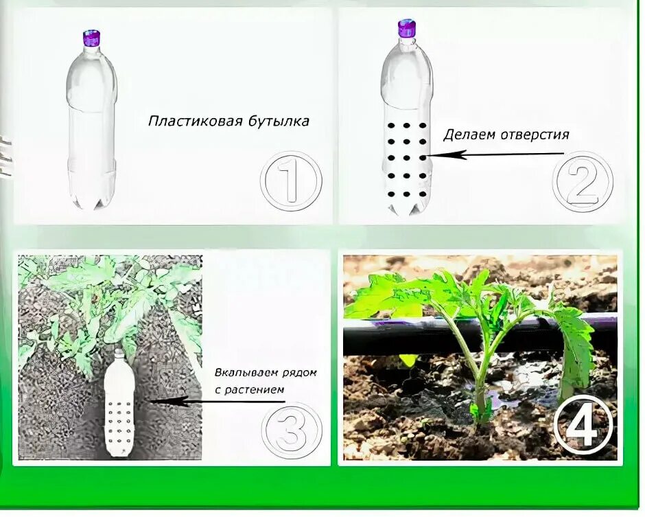 Какой должна быть вода для полива. Полив огурцов. Правильный полив огурцов. Капельный полив огурцов в открытом грунте. Капельный полив огурца в теплице.