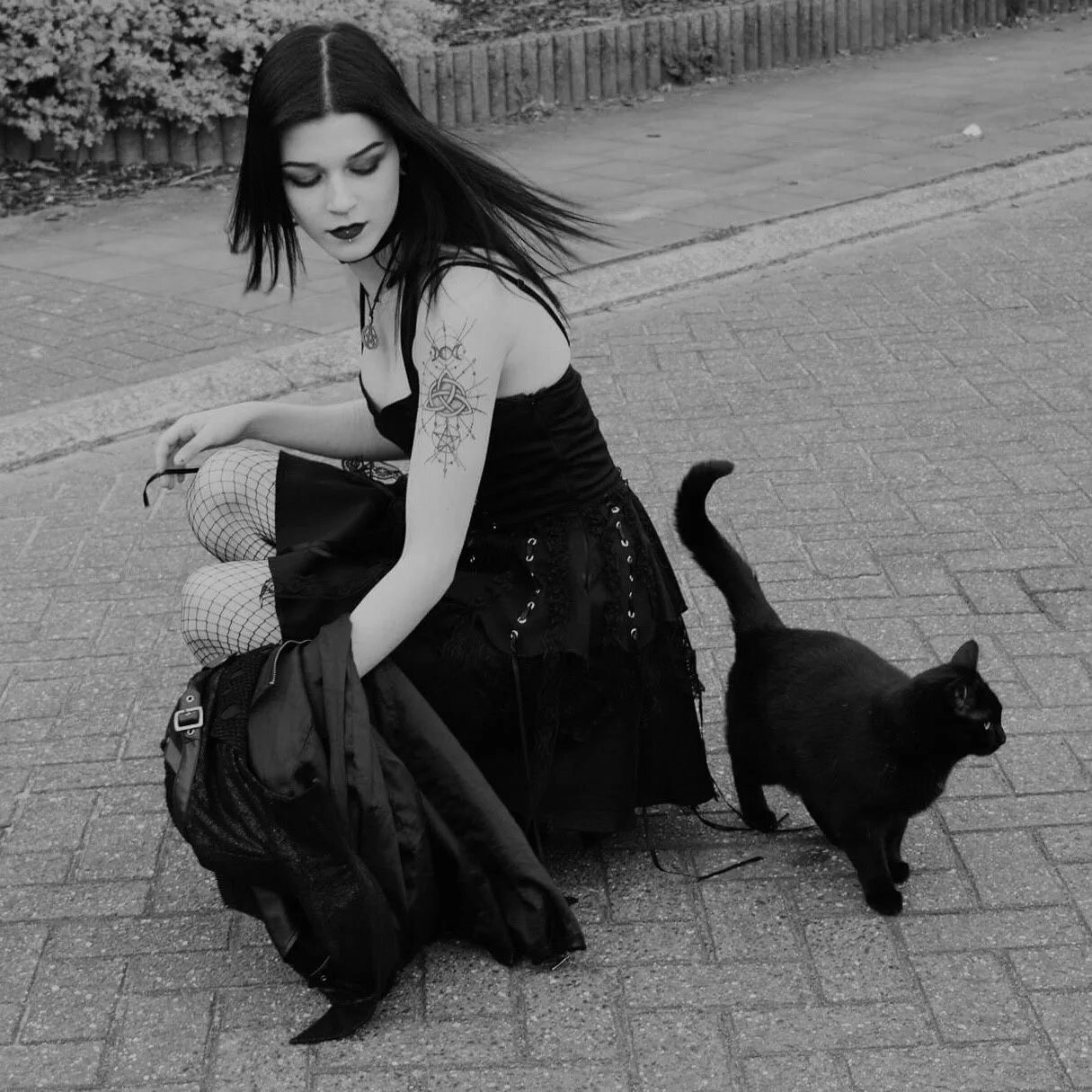 Черный кот вампир. Котики готы. Кошка готика. Кот ориентал вампир. Рок гот кот.