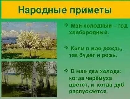 Май лучшее время года
