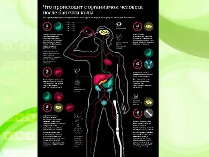 Не пью месяц что происходит в организме