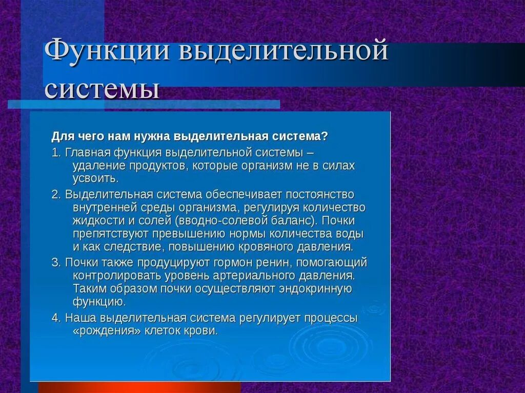 Какая структура выполняет выделительную функцию. Функции выделительной системы. Функции выделительной системы животных. Функции выделительной системы человека. Выделительная система функции системы.