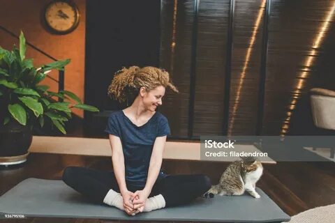 Йога с котятами