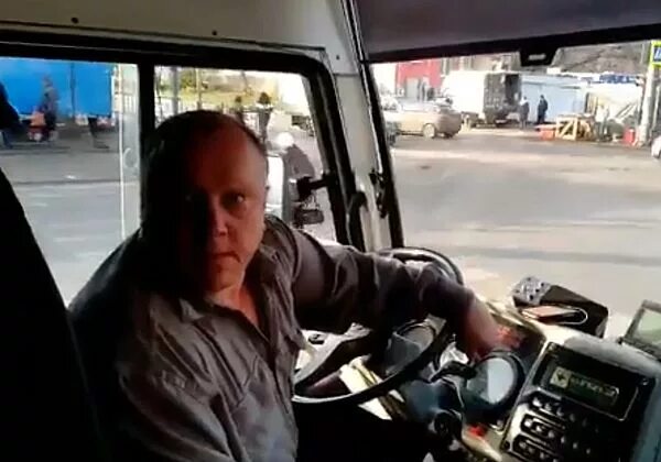 Водитель автобуса видео. Кот водитель автобуса.